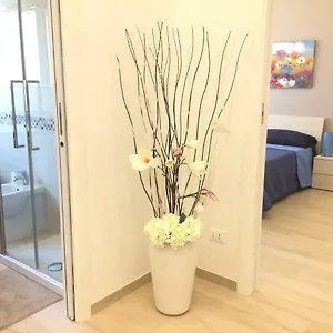 Stephen Apartment